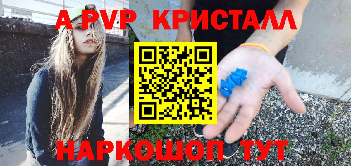 Альфа ПВП СК КРИС Кизилюрт