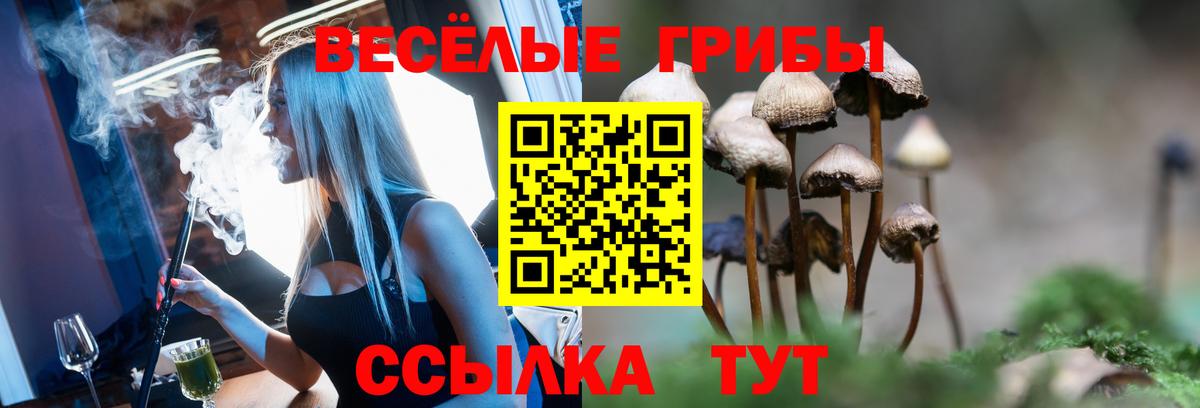 Кизилюрт  закладка  Вход с VPN  Галлюциногенные грибы прущие грибы 
